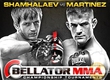 Шахбулат Шамхалаев победил нокаутом в финале турнира Bellator