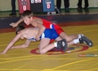 The All-Russian tournament on Greco-Roman wrestling