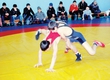 The resident of Sakhalin became the winner of junior superiority of the DFO on free-style wrestling