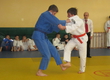 Regional judo competitions