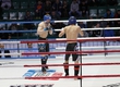 The first fights of the URFO Championship on MMA took place in Khanty-Mansiysk