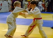 Young judoists fought for medals in Rudne