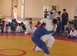 Cup of Volga region league of judo