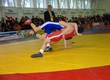 Championship of the Kyrgyz Republic in free-style wrestling among cadets