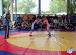 Open city tournament on free-style wrestling