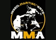 The national team of Primorye became the best in the Championship of the Far East on MMA