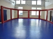 In Rostov the new hall including three types of single combats opened