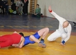 Wrestlers took four medals at large competitions in Lithuania