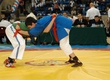 In Ufa passed the All-Russian tournament on wrestling on belts