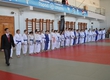 II Stage of the Cup of Volga region league of judo