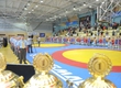 Greco-Roman wrestling championship of Ukraine