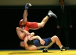 Championship of the Novosibirsk region in Greco-Roman wrestling