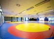 New gym for the Greco-Roman, free-style and female wrestling