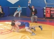 The national team of the Ulyanovsk region successfully perform at the All-Russian tournament on free-style wrestling