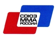 Structure of participants of the championship of Russia on the mixed fighting single combats