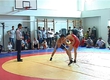 THE ALL-RUSSIAN TOURNAMENT OF A SOFTWARE TO FREE-STYLE WRESTLING TOOK PLACE IN SOCHI