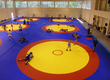 Section lessons on free-style wrestling for children in the sports hall OMON will be recommenced in September