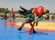 Took place competitions on national wrestling of Greeks of Priazovye 