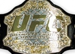 Dates of all title fights of UFC in the 2013th year became known