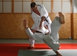 Residents of Kirovograd are interested in judo and baseball more