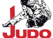 In DYuSSh New by Ataginskoy passed republican tournament on judo