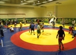 The national teams of Moldova and Romania on free-style wrestling carry out joint collecting