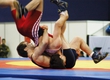 On the Cup of Moldova on free-style wrestling are played permits on the World Cup