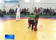 In the Salavat area took place  the V Open republican tournament on wrestling kuresh