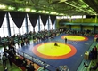 RESULTS OF SUPERIORITY OF THE MOSCOW REGION ON GRECO-ROMAN WRESTLING