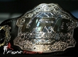 CHAMPIONS  UFC: LINEAR CHRONOLOGY OF THE LIGHT HEAVYWEIGHT