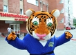 The talisman on ChM-2014 judo again becomes tiger cub Zhorik