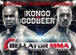 Results of Bellator 102