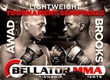 RESULTS OF BELLATOR 105