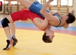 Championship of the Novosibirsk region in Greco-Roman wrestling