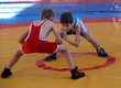 In the city Plavsk passed regional tournament on free-style wrestling