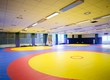 In Sumy opened the new hall of Greco-Roman wrestling