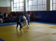 On tournament on judo elgavchane won 15 medals