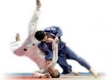 Are summed up regional judo competitions