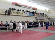 The international tournament on judo 