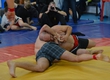 The championship of the Yaroslavl region on a grappling: results