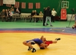 Zelenodoltsy perfectly acted on championship of Kazan in Greco-Roman wrestling