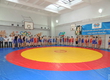 In Ulyanovsk passed the fifth youthful tournament on Greco-Roman wrestling