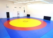 In the Turukhansky area children began to be engaged in Greco-Roman wrestling and powerlifting more