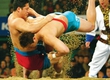 In Moscow passed a festival of traditional types of wrestling of the people of Russia