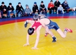 In Sakhalin Noglikakh passed the IX traditional regional tournament on free-style wrestling