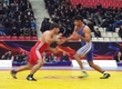 Winners of the first day of the championship of Azerbaijan were determined by wrestling