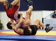 The Voronezh Cossacks held tournament on free-style wrestling