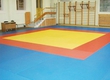 In Kosteshtakh for 1 million леев constructed new club of judo