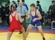 In Samara passed two tournaments on Greco-Roman wrestling among young men