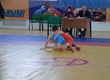 In Syktyvkar passed Superiority competitions of free-style wrestling